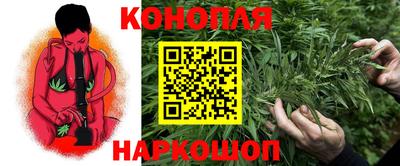 прущие крисы Гусев