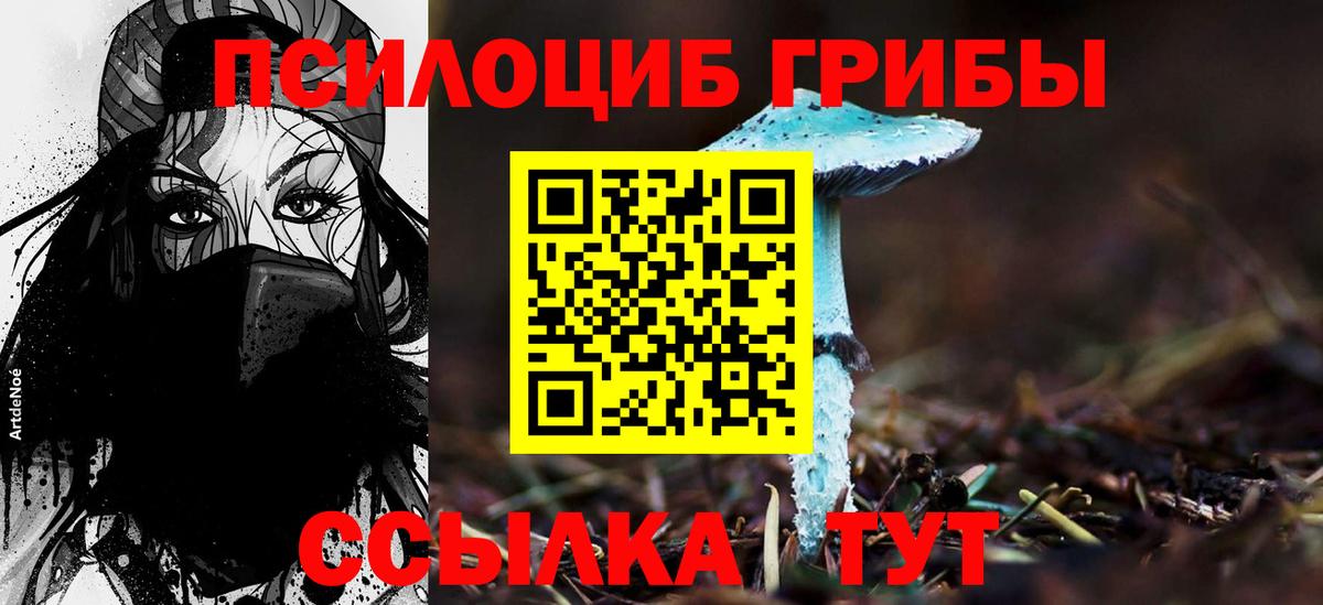 Галлюциногенные грибы GOLDEN TEACHER  Вход с VPN  Калуга  Псилоцибиновые грибы Cubensis 