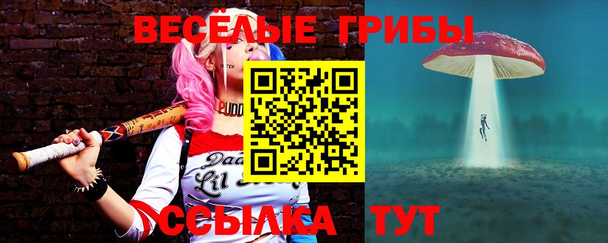 Галлюциногенные грибы Psilocybe  наркота  Калуга 