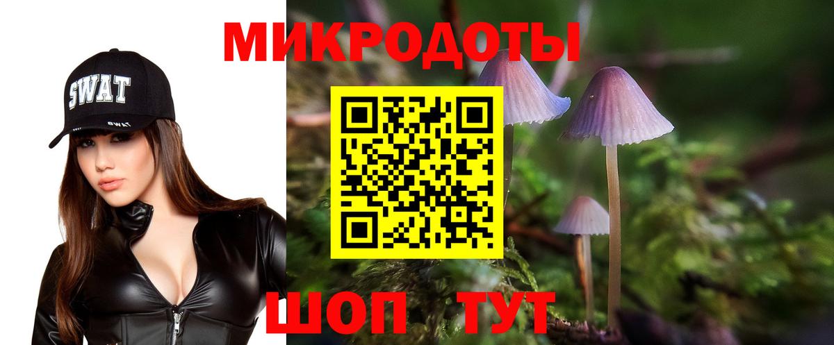 Галлюциногенные грибы Magic Shrooms Калуга