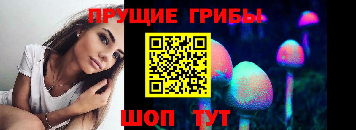 Галлюциногенные грибы Psilocybe Калуга